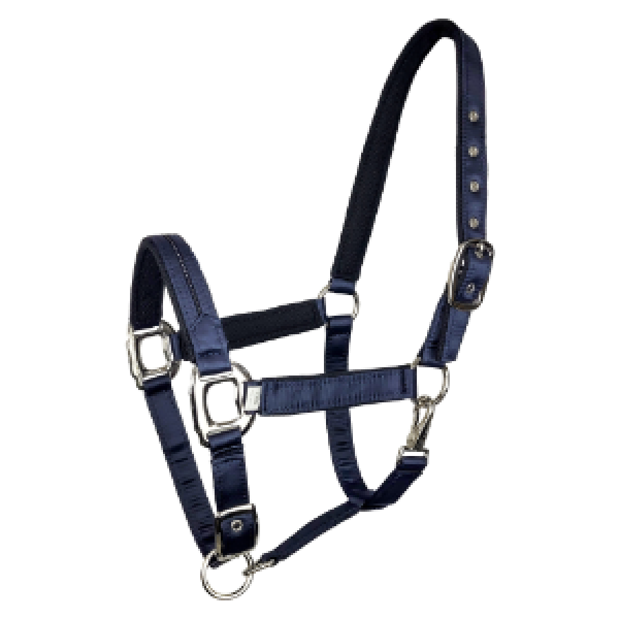 Zilco Gloria Halter