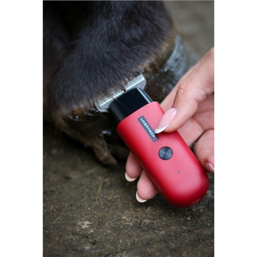 Liveryman Robin Trimmer - Image 2