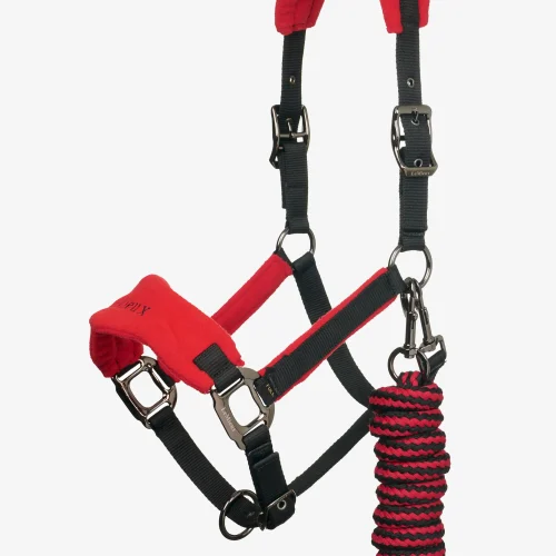 LeMieux Vogue Headcollar & Lead-rope Sets - Image 13