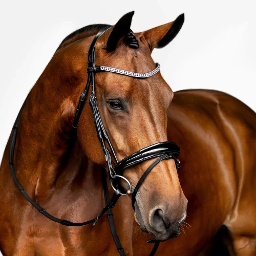 Lumiere Amie Flat Leather Hanoverian Bridle