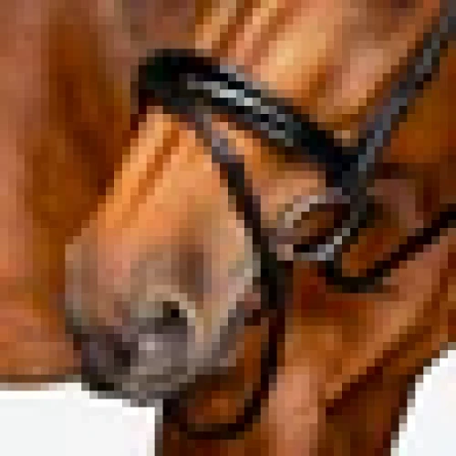 Alternative view of Lumiere Amie Flat Leather Hanoverian Bridle