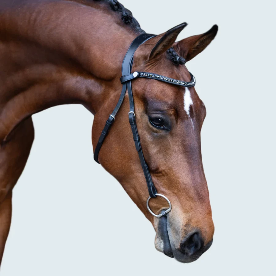 Lumiere Sienna Nosebandless Bridle