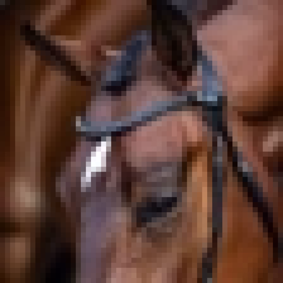 Lumiere Sienna Nosebandless Bridle - Image 5