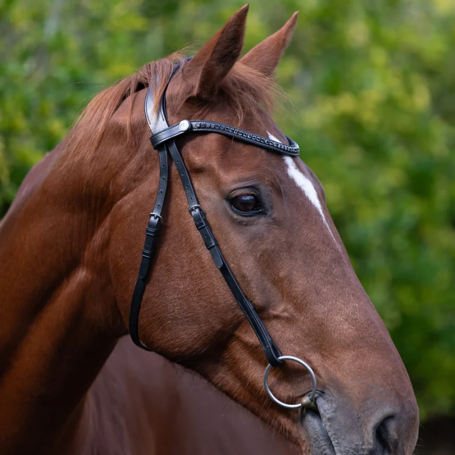 Lumiere Sienna Nosebandless Bridle - Image 4