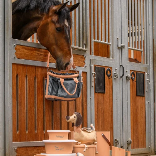 Alternative view of Waldhausen Dachshund Dieter Horse Toy